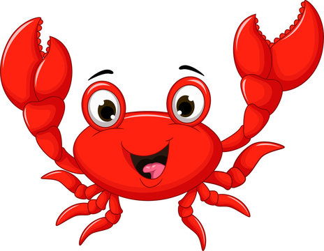 Red Crab