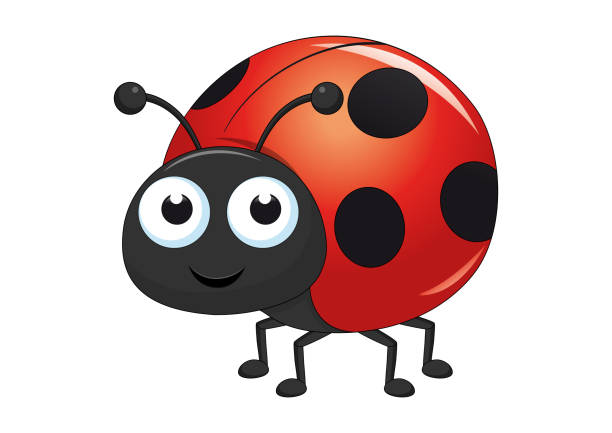 Red Ladybug