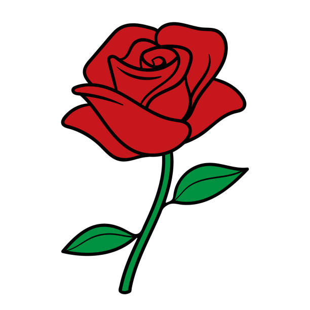 Red Rose