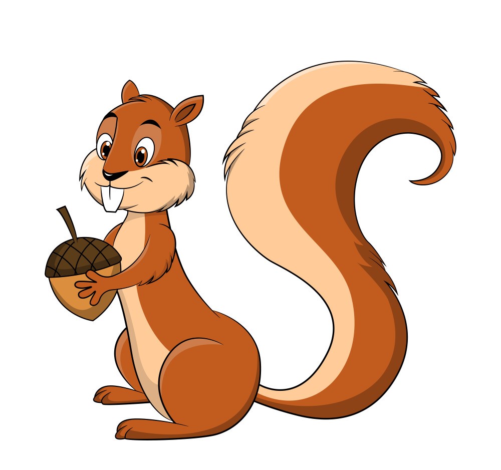 Squirrel