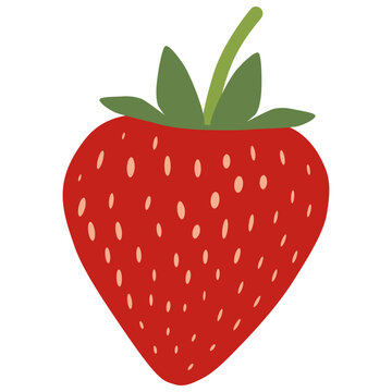 Red Strawberry