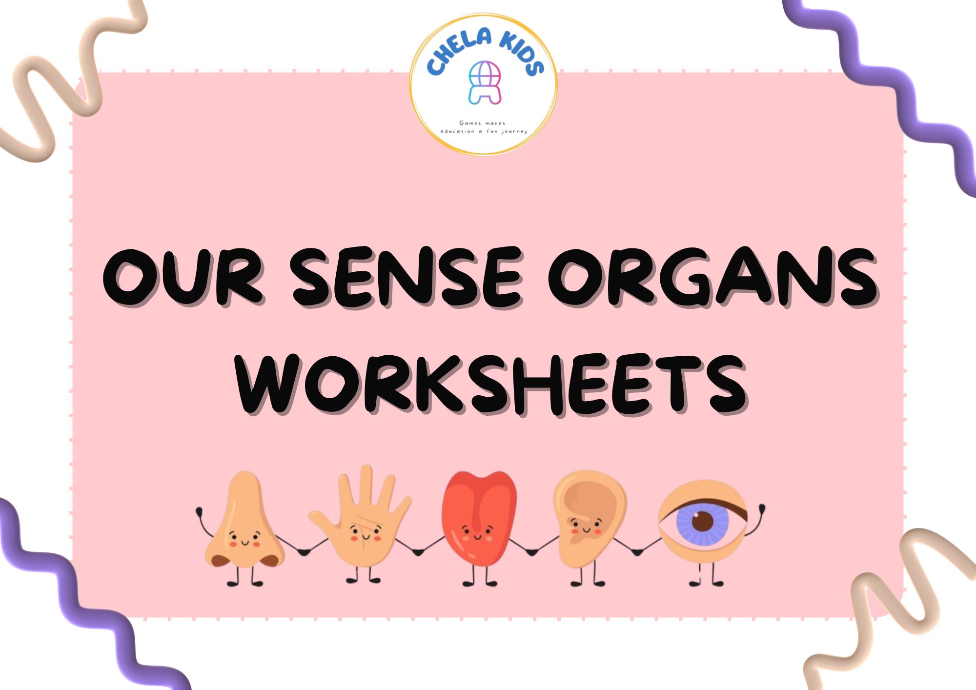 Sense Organs Worksheets