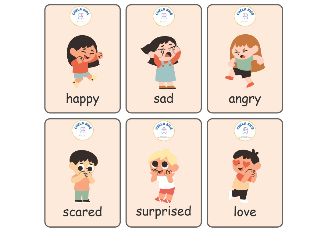 Sense Organs Flashcard