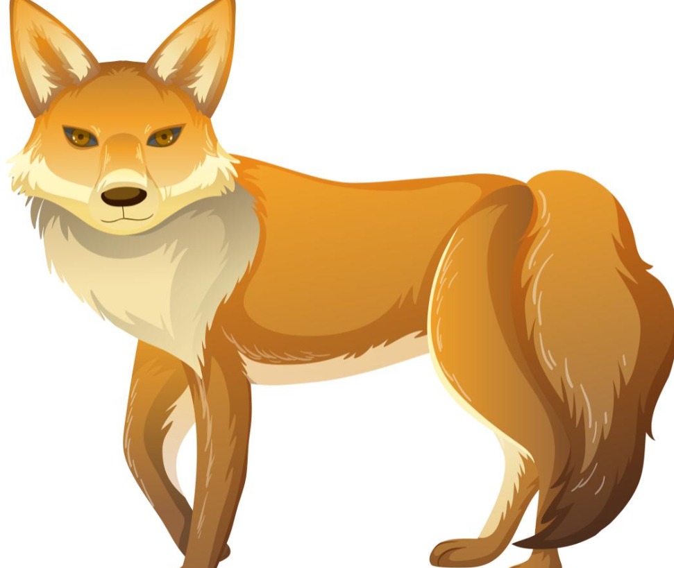 Fox Puzzle