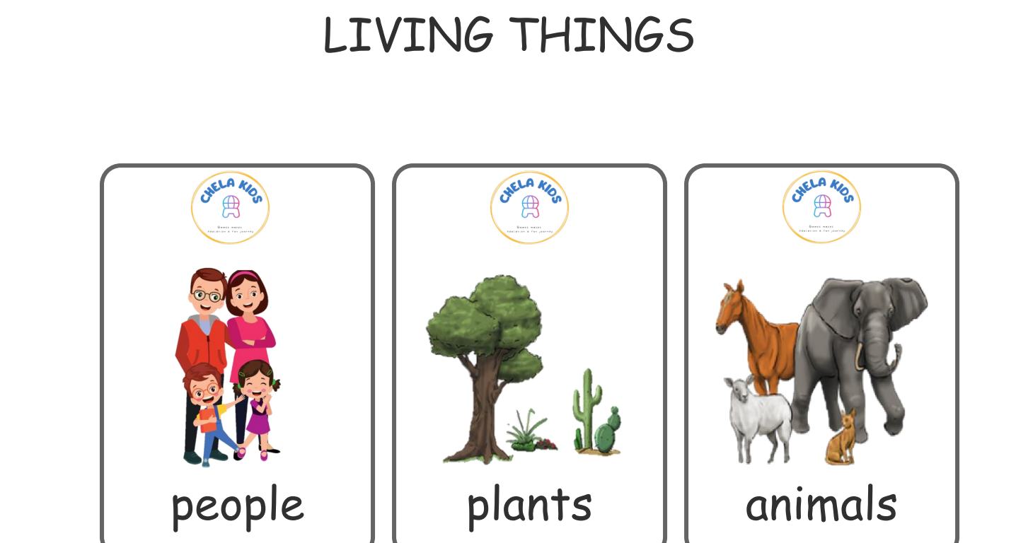 Living-Nonliving Flashcard